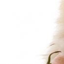 Іра Сакундяк фотография #10 (источник - https://vk.com/id35307343)