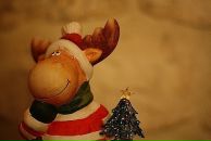 Фотография Новиковой Марии