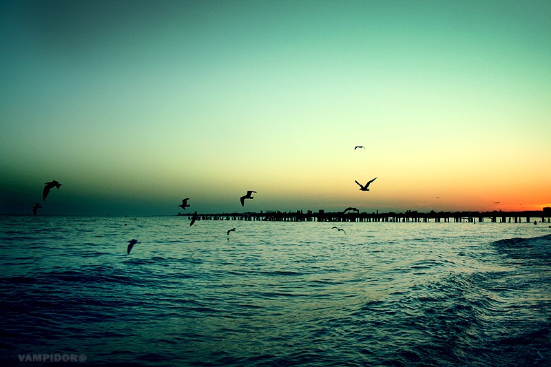 Дмитрий Тушин фотография #23