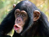 Вадік Ковальський фотография #9 (источник - https://vk.com/id89878773)