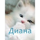 Діана Митуля фотография #1