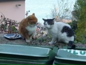 Андрій Дергало фотография #46 (источник - https://vk.com/id90397387)