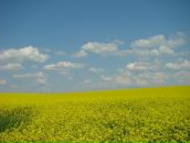 Фотография Александровича Сергея