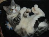 Фотография Поповой Раисы