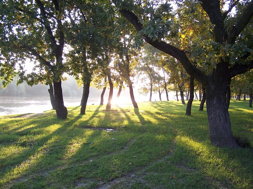 Сергей Калиниченко фотография #32