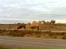 Славік Белей фотография #48 (источник - https://vk.com/id132880251)