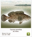 Иван Бабинец фотография #44 (источник - https://vk.com/id120069385)