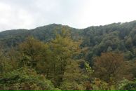 Дима Otrishko фотография #22 (источник - https://vk.com/id1462403)