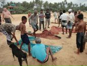 Ivan Solovyev фотография #31 (источник - https://vk.com/id1772132)