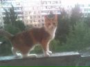 Фотография Ксенья Иванушкина