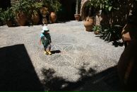 Дмитрий Сидоров фотография #44 (источник - https://vk.com/id996625)