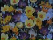 Тарас Андриішин фотография #7 (источник - https://vk.com/id50918281)