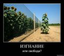 Інна Захарюк фотография #6 (источник - https://vk.com/id20169938)