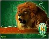 Андрій Бронський фотография #5 (источник - https://vk.com/id88493121)