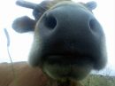 Ігор Чернявський фотография #4 (источник - https://vk.com/id121912245)
