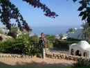 Фотография Елена Соя