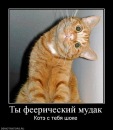 Фотография Казанцева Кирилла