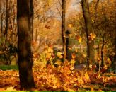 Антоніна Суран фотография #24 (источник - https://vk.com/id92225882)