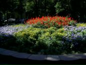 Вася Дідушко фотография #10 (источник - https://vk.com/id51209908)