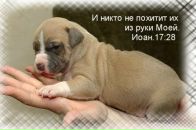 Діана Дятлик фотография #15 (источник - https://vk.com/id154440128)