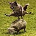 Віктор Зарудний фотография #15 (источник - https://vk.com/id164776706)