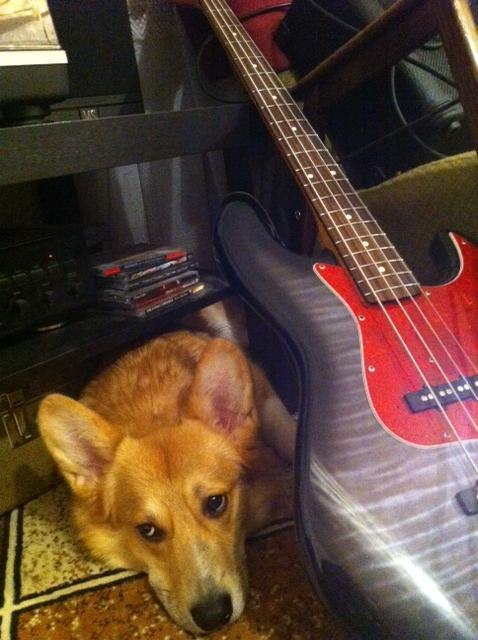 Victor Chu фотография #16