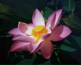 Фотография Федина Руслана