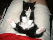 Антон Поштаренко фотография #24 (источник - https://vk.com/id928604)