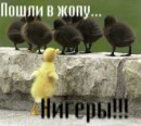 Вячеслав Сафіян фотография #17 (источник - https://vk.com/id67148265)