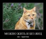 Влад Сірий фотография #14 (источник - https://vk.com/id16271497)