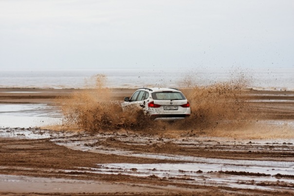 №14, Эдуард Гильфанов №14, Эдуард Гильфанов