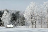 Вікуся Галанчук фотография #7 (источник - https://vk.com/id51855677)