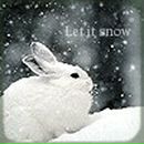 Фотография Чирцова Владислава