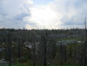 Иван Паньков фотография #22 (источник - https://vk.com/id746503)