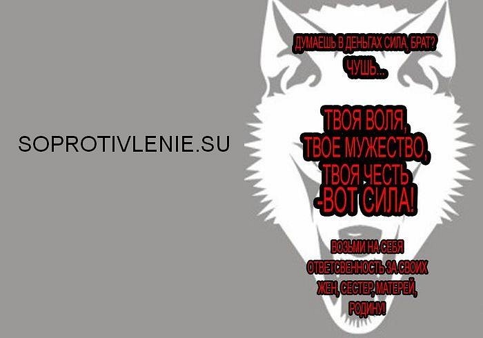 Антон Ткаченко фотография #19