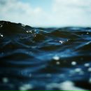 Фотография Ушаковой Карины