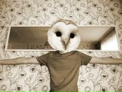 Фотография Готовчикова Алёна