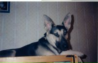 Фотография Ведерниковой Хелены