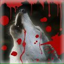 Фотография Михеева Максима