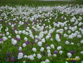 Фотография Ворошиловой Ольги