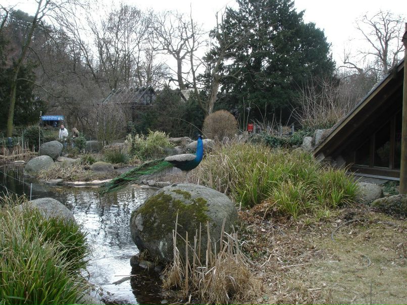 Ирина Лукс фотография #50