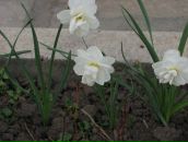 Віктор Бевза фотография #11 (источник - https://vk.com/id71881935)