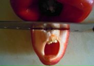 Фотография Алемасова Женька