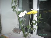 Фотография Спиридоновой Надежды