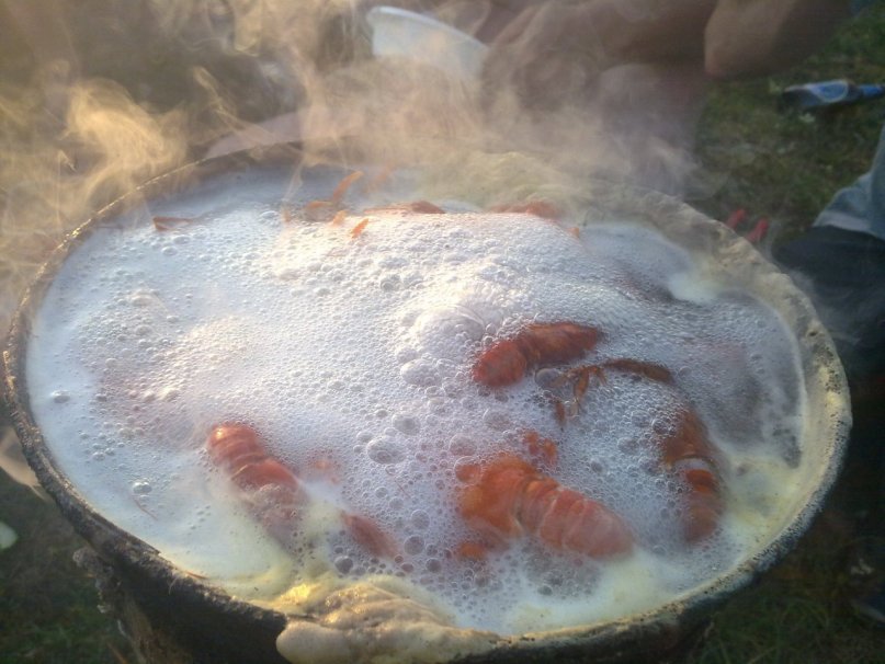 Шамиль Ахметсафин фотография #10