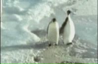 Фотография Вованова Вована