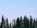 Стьопа Хміль фотография #35 (источник - https://vk.com/id126753735)