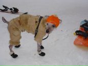 Фотография Belyaev Evgeniy