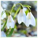 Фотография Зенцовой Евгении