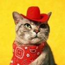 Эдуард Κрюков фотография #1